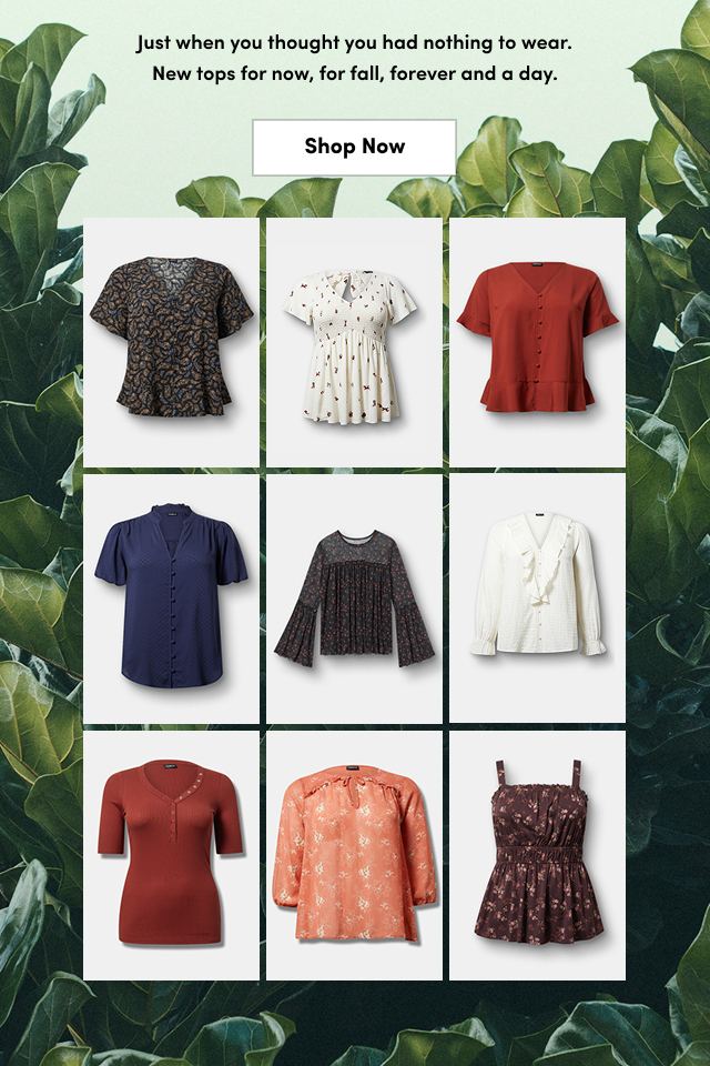 Just when you thought you had nothing to wear. New tops for now, for fall, forever and a day. 