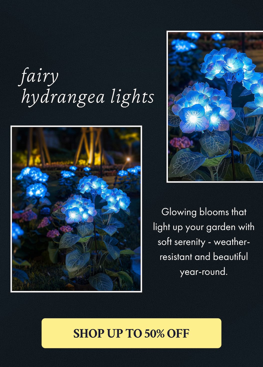 Fairy Hydrangea Lights