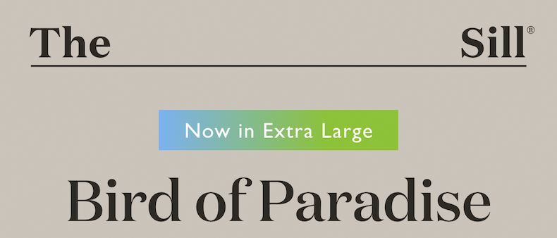 Bird of Paradise now in Extra Large