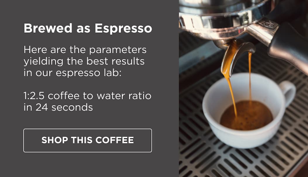 Brewed as Espresso: Here are the parameters yielding the best results in our espresso lab: 1:2.5 coffee to water ratio in 24 seconds