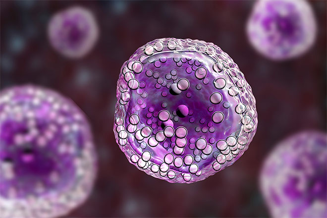 A microscopic rendering of a CAR T cell.