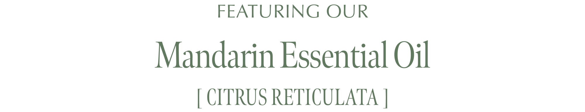FEATURING OUR Mandarin Essential Oil [ Citrus Reticulata ]