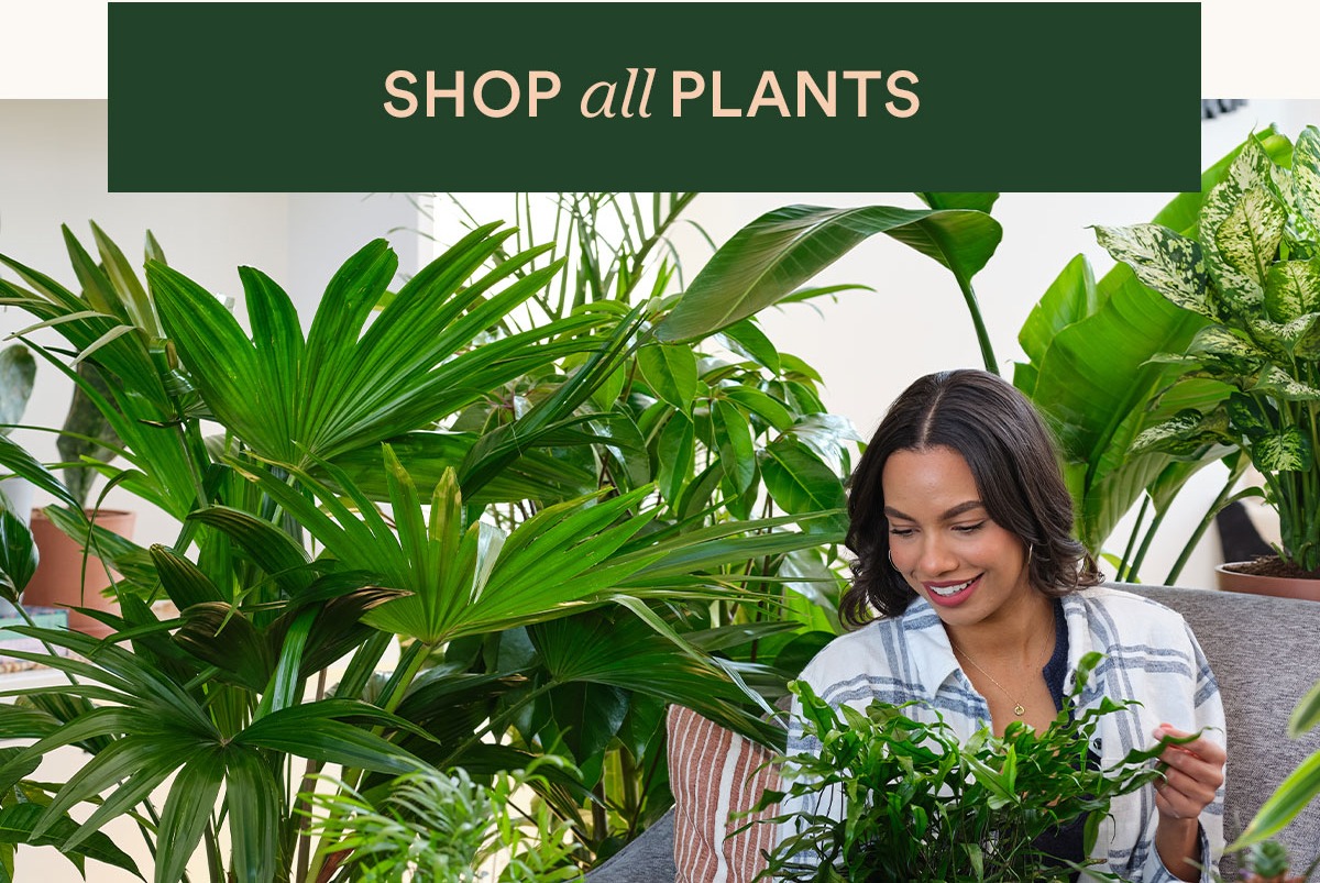 save up to 25%