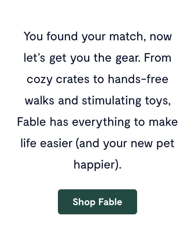 You found your match, now let’s get you the gear. From cozy crates to hands-free walks and stimulating toys, Fable has everything to make life easier (and your new pet happier).
