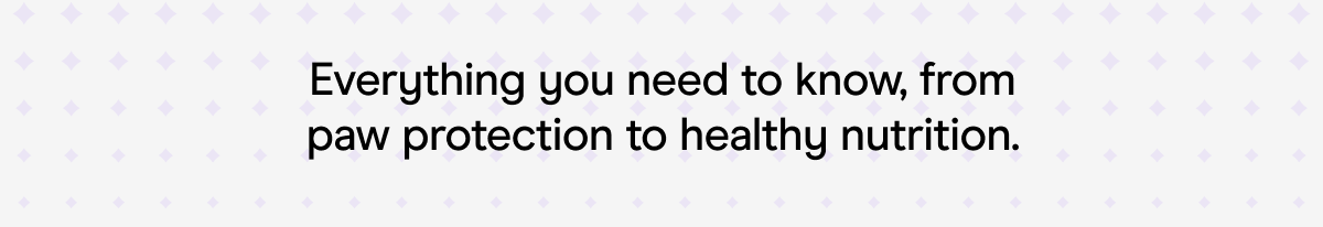 Everything you need to know, from paw protection to healthy nutrition. 