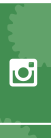 Follow Us on Instagram