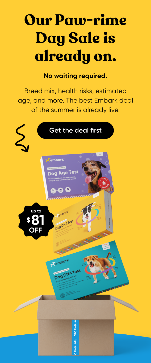 Our Paw-rime Day Sale is already on. No waiting required. Breed mix, health risks, estimated age, and more. The best Embark deal of the summer is already live. Get the deal first.