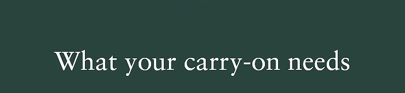 What your carry-on needs.