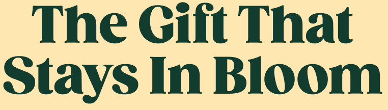 The Gift That Keeps On Blooming