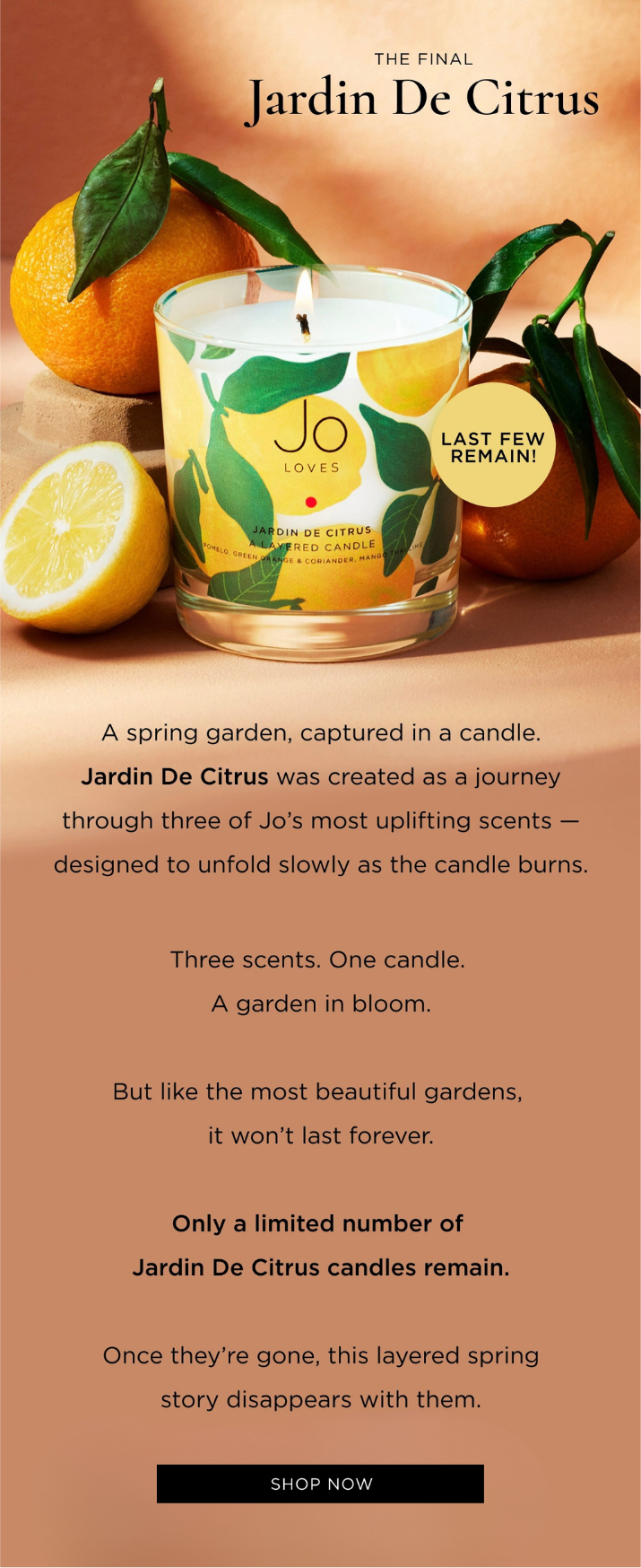 A spring garden, captured in a candle. Jardin De Citrus was created as a journey through three of Jo’s most uplifting scents — designed to unfold slowly as the candle burns. Three scents. One candle. A garden in bloom. But like the most beautiful gardens, it won’t last forever. Only a limited number of Jardin De Citrus candles remain. Once they’re gone, this layered spring story disappears with them.