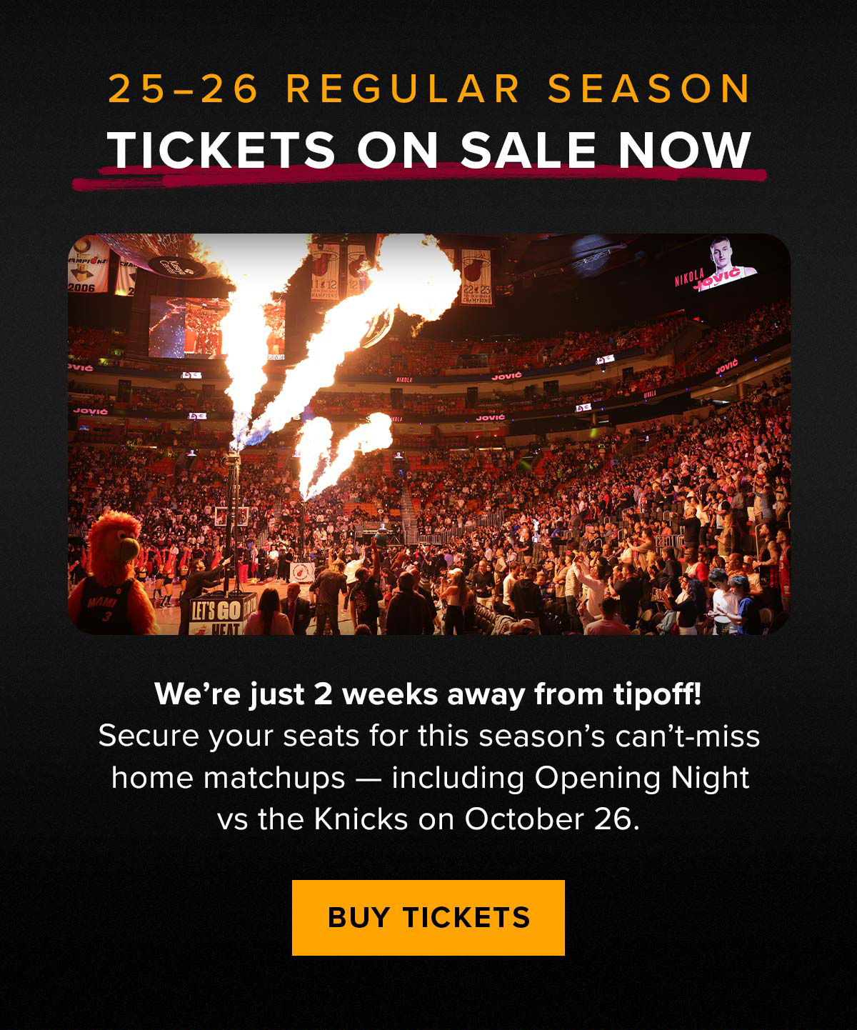 Regular Season Tickets On Sale Now | Buy Tickets 
