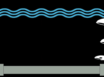 Orca oil spill gif.