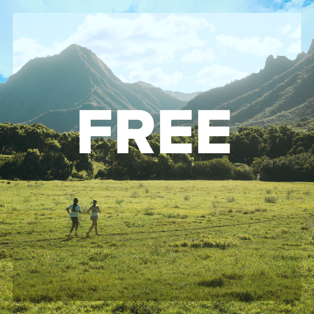 Free Expedited Shipping 