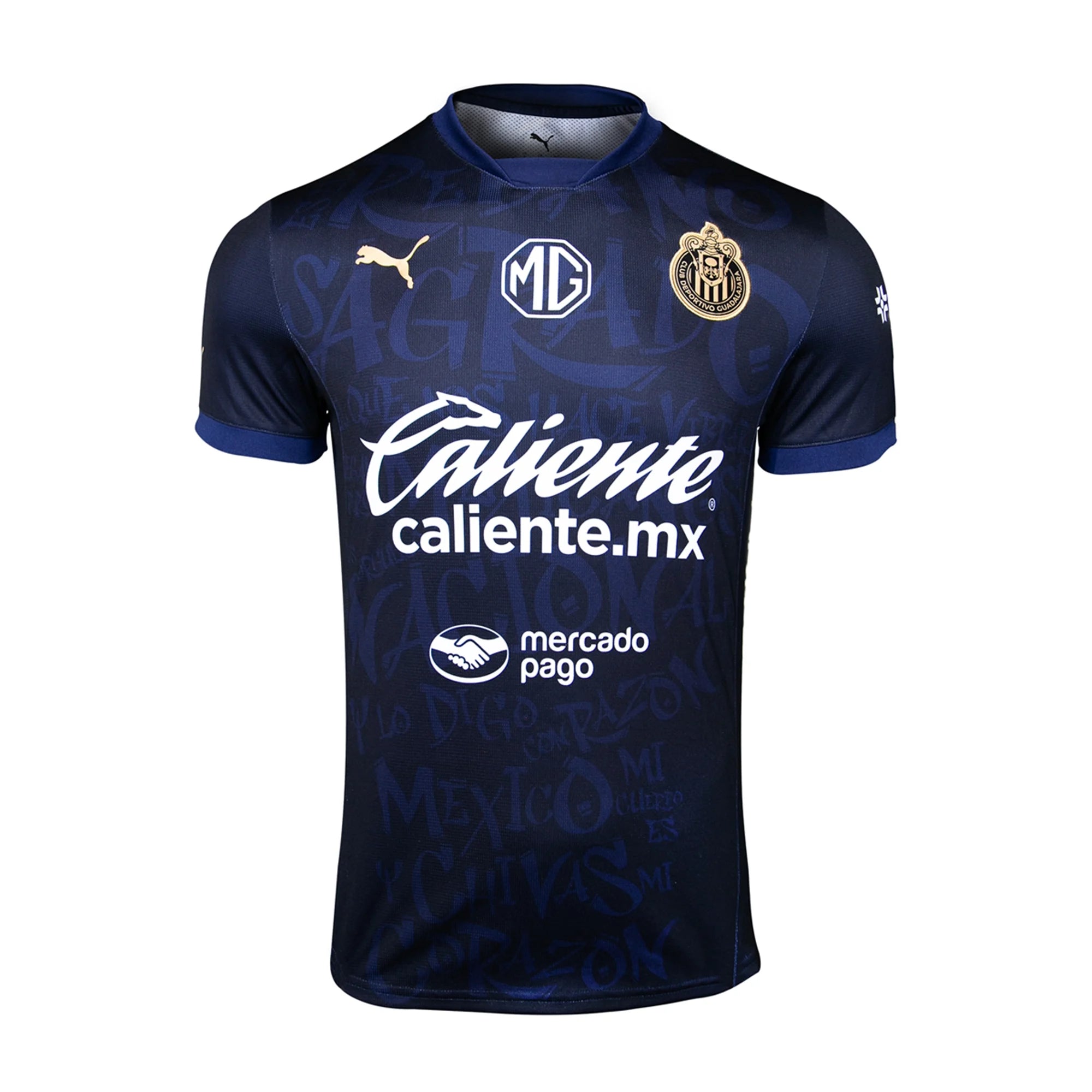 Image of Puma Men's Chivas Alternative 3rd Jersey 24/25