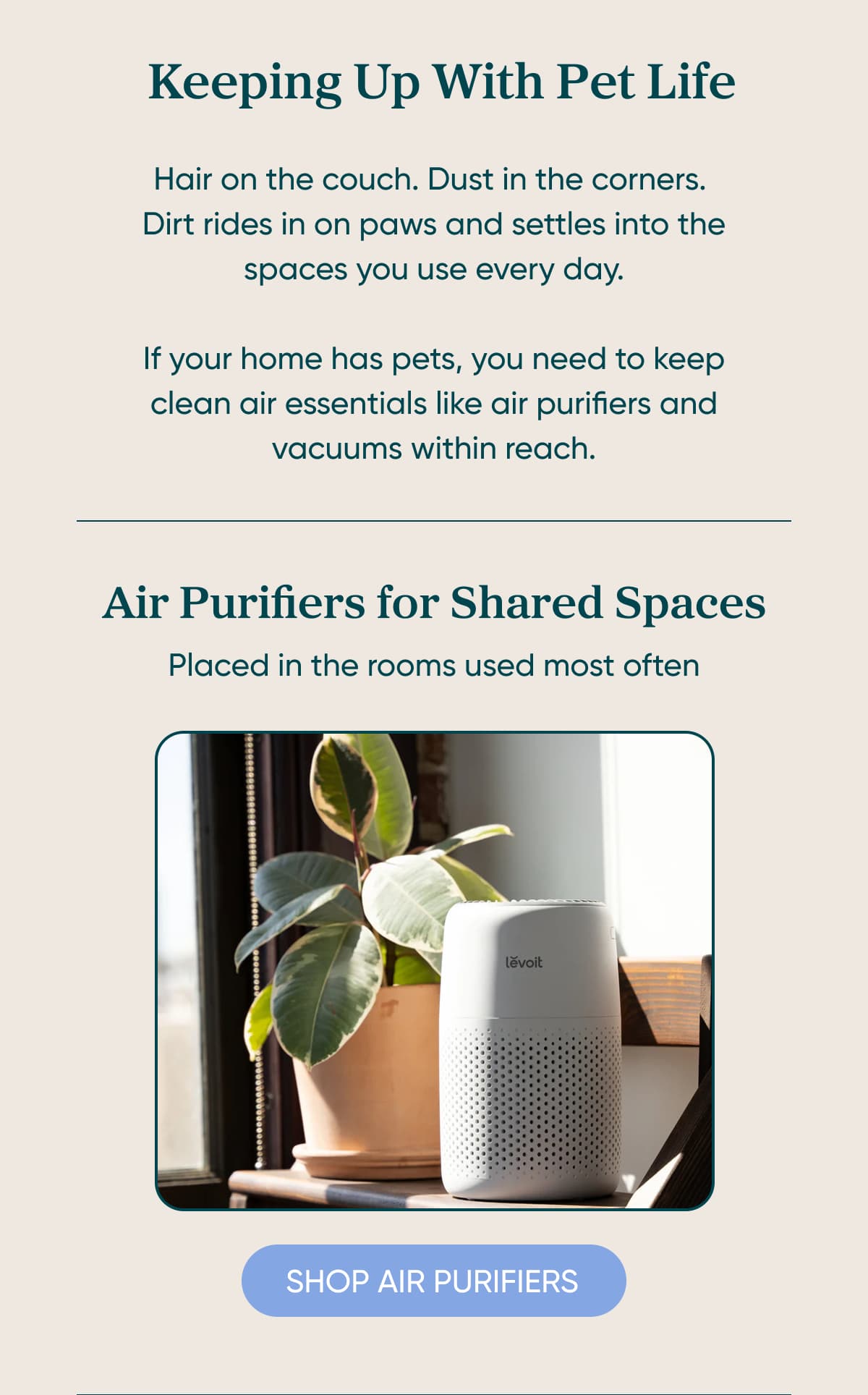 Air Purifiers for Shared Spaces