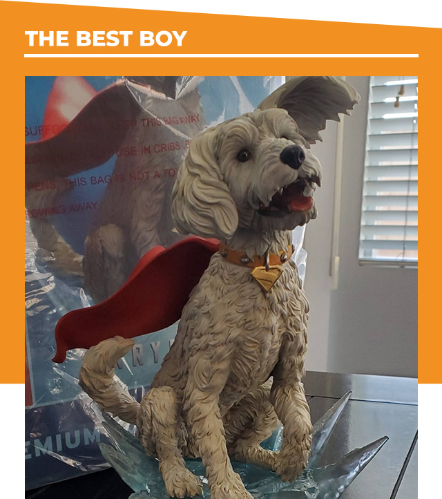 THE BEST BOY