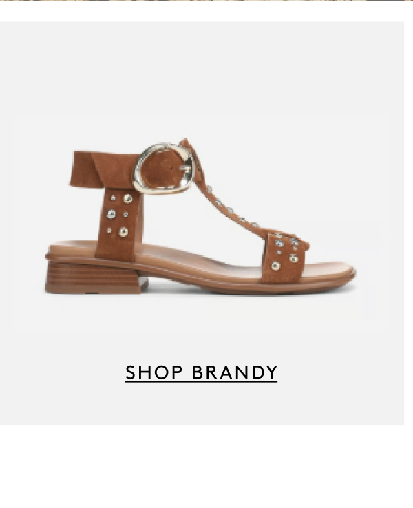 Shop Brandy