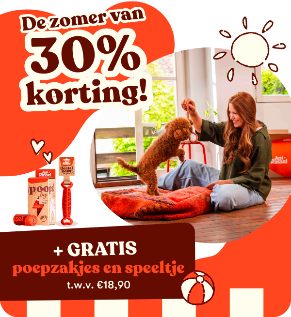 De zomer van 30% korting + gratis poepzakjes en speeltje! Een jonge vrouw speelt met haar cavapoo in de woonkamer.