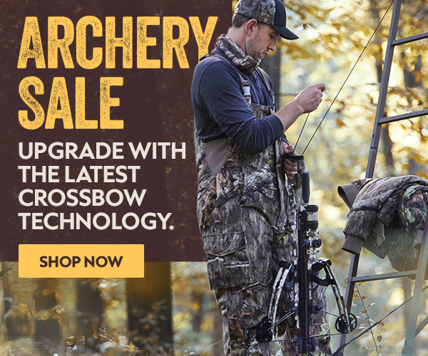 Archery Sale