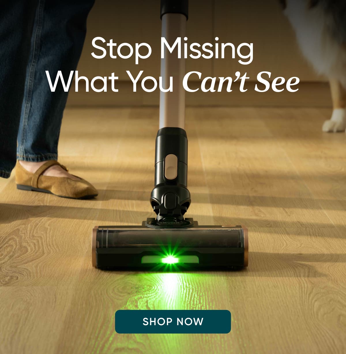 Stop missing what you can't see