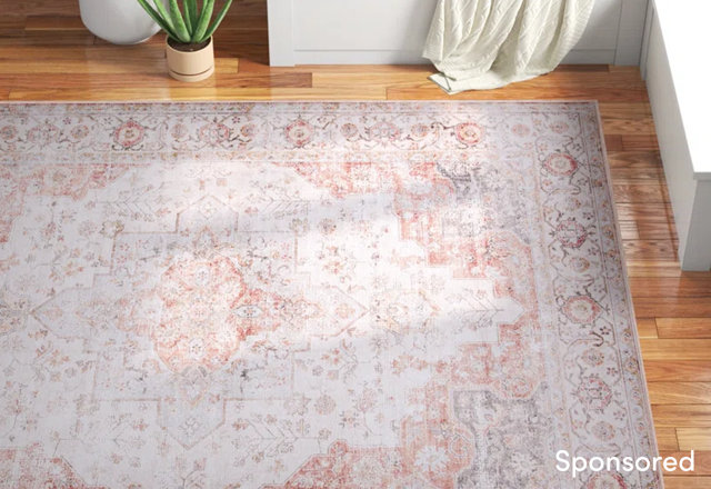 Area Rug Deals
