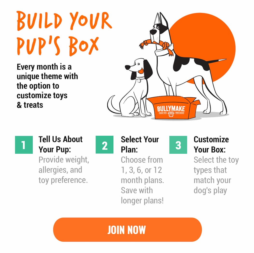 Bullymake Dog Toy Subscription Box