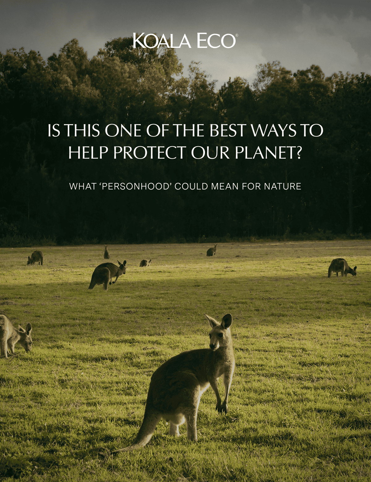 Is this one of the best ways to help protect our planet?