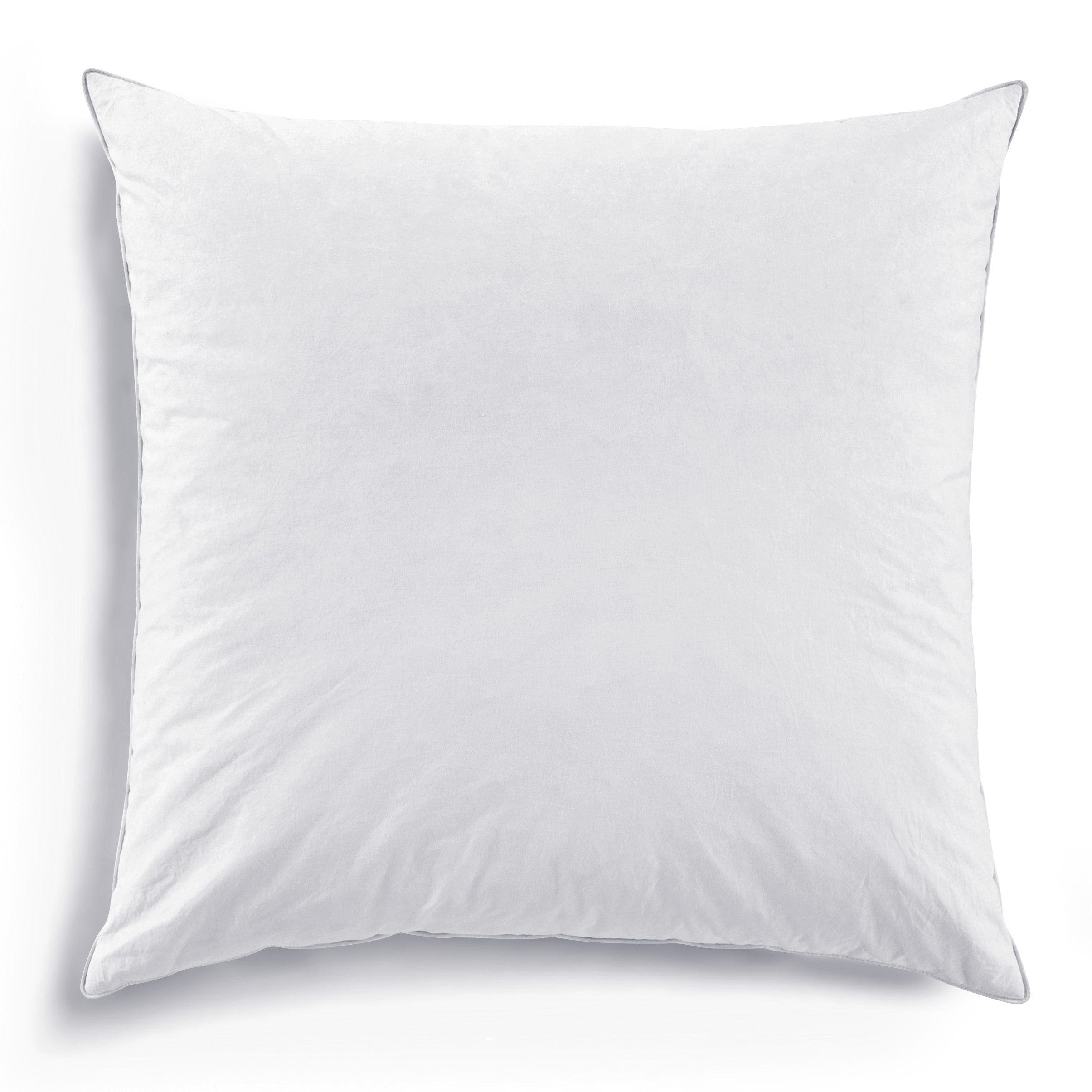 Image of Down Euro Sham Insert