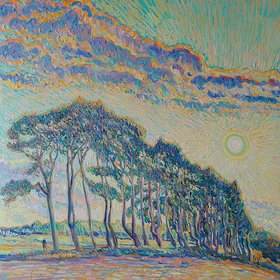 Pines at Sunset