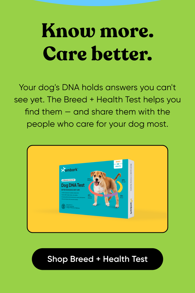 Your dog's DNA holds answers you can't see yet. The Breed + Health Test helps you find them — and share them with the people who care for your dog most. Shop Breed + Health Test.
