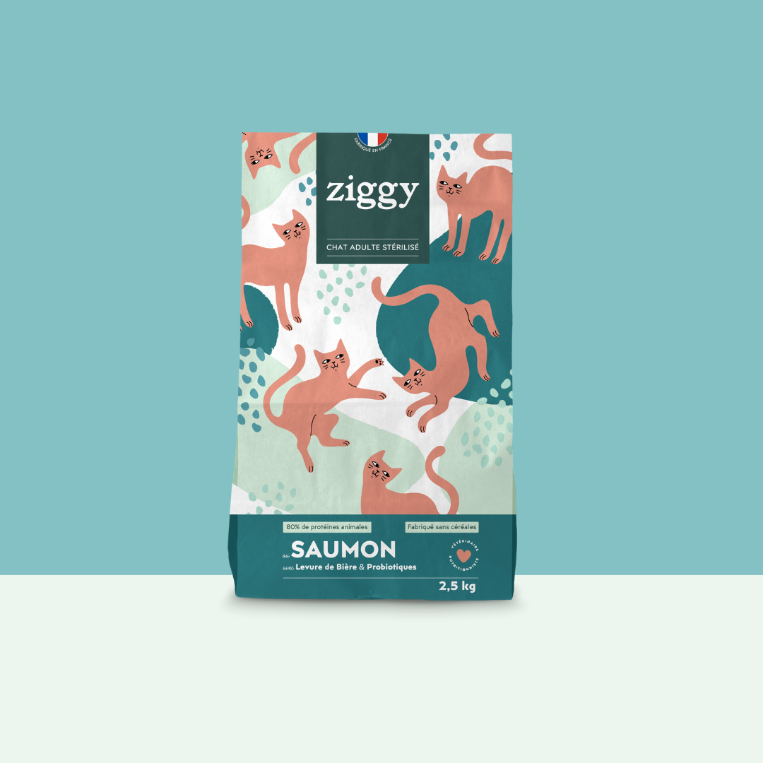 Image of Croquettes Chat Stérilisé Sans Céréales - Saumon