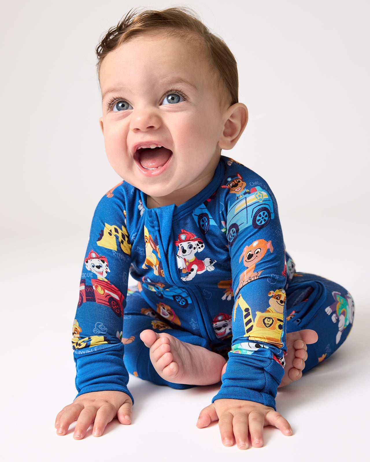Image of PAW Patrol Adventure Bay Heroes Zippy