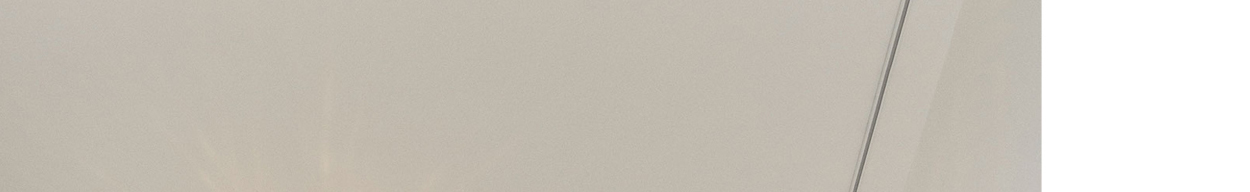 Apiales Plafond Ceiling Light