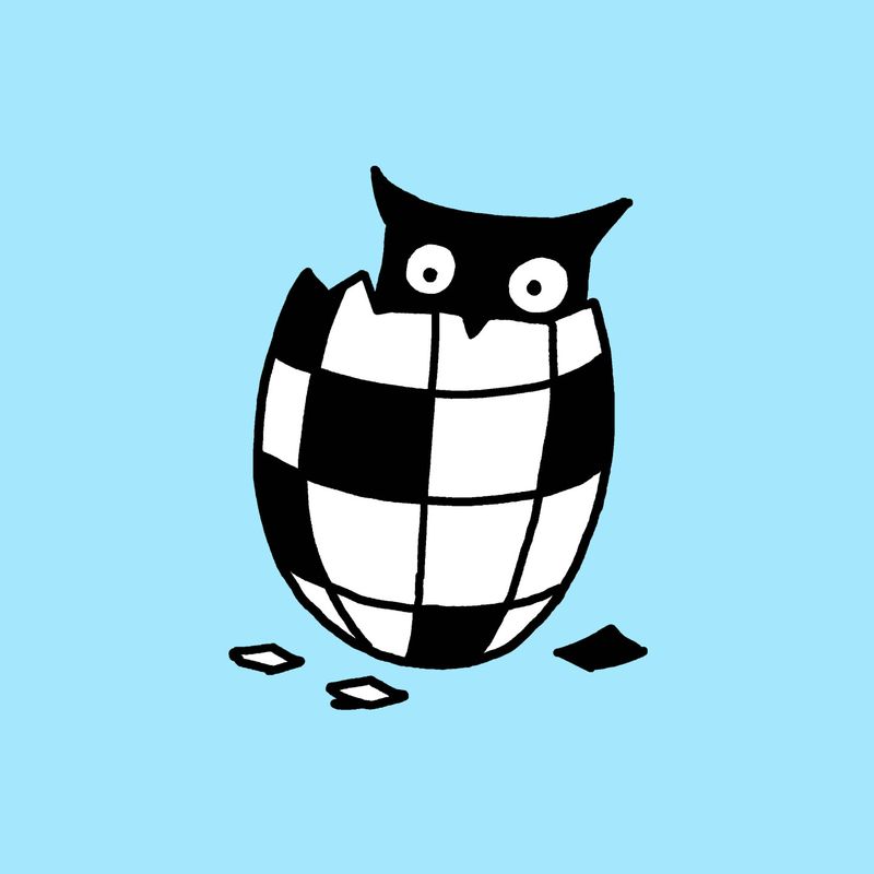 An owl hatching from an egg that has a crossword design.
