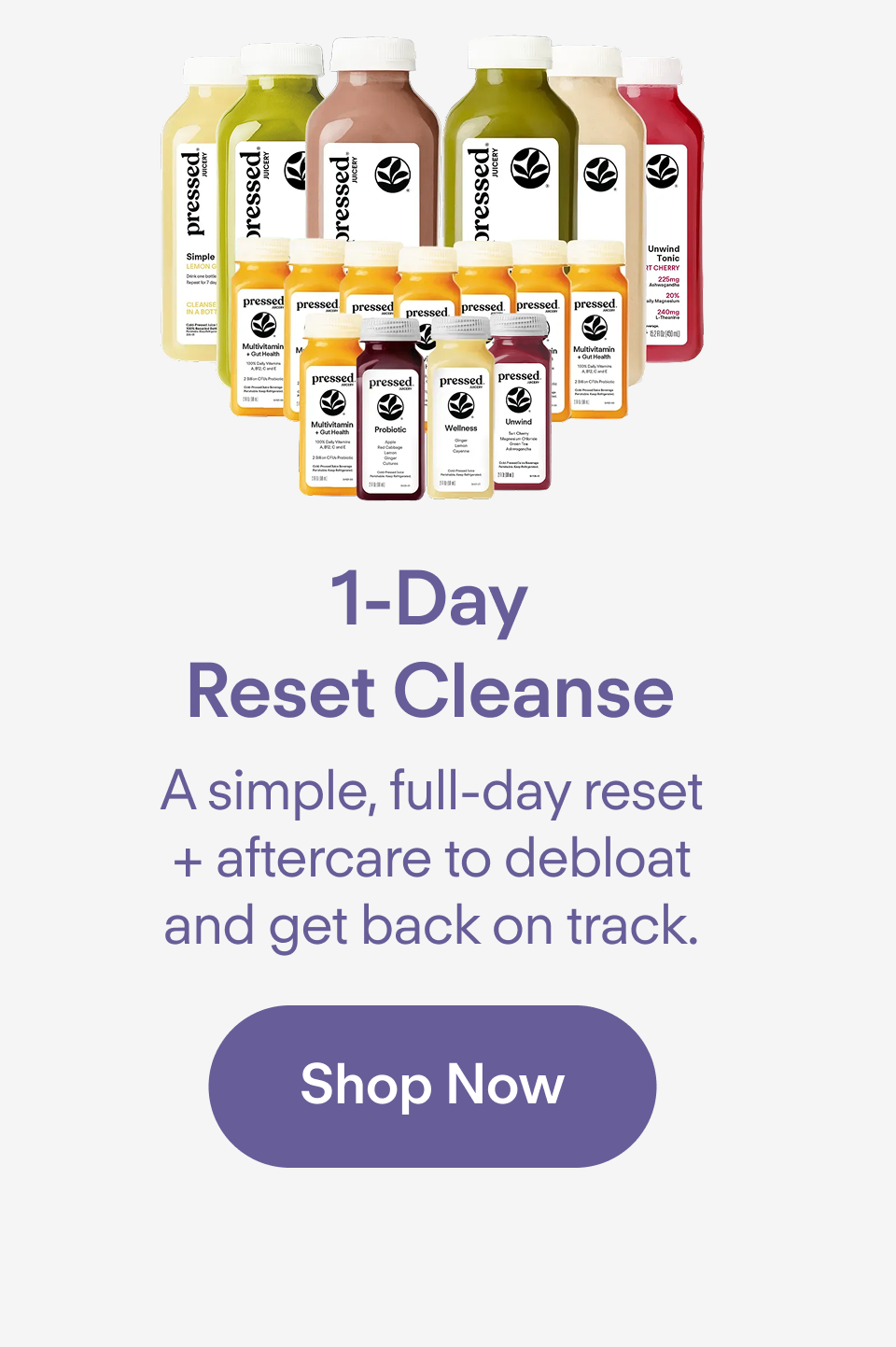 1-Day Reset Cleanse