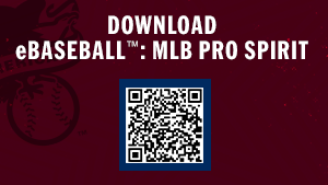 Download eBaseball™: MLB PRO SPIRIT