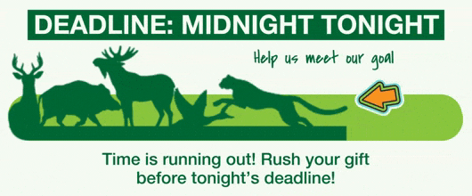 Time is running out! Rush your gift before tonight's deadline.