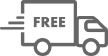 Free Shipping Icon