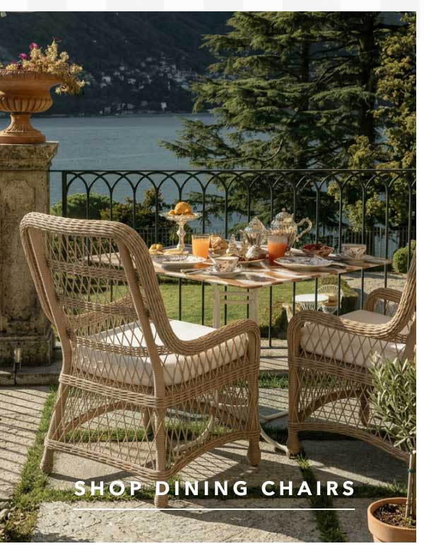 Shop Dining Chairs