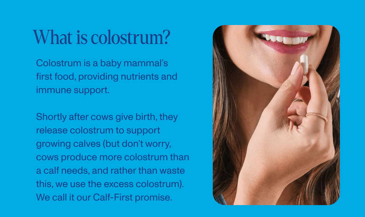 What is colostrum?