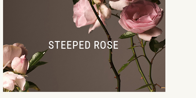 Steeped Rose