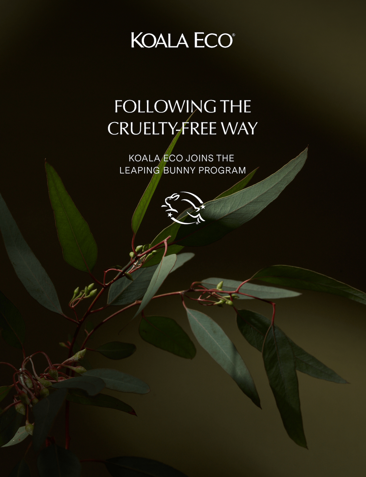 Koala Eco: Following The Cruelty-free Way - Koala Eco Joins The Leaping Bunny Program