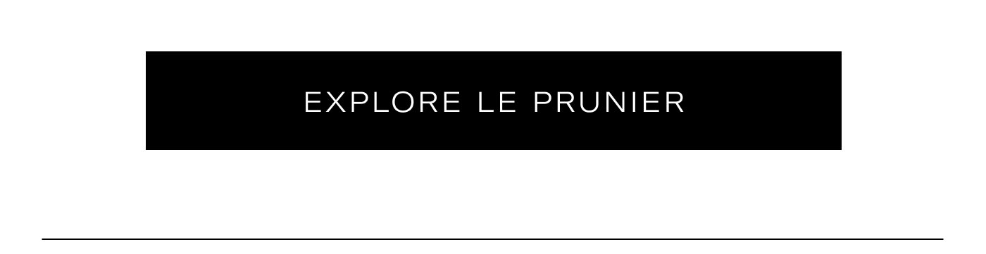 EXPLORE LE PRUNIER