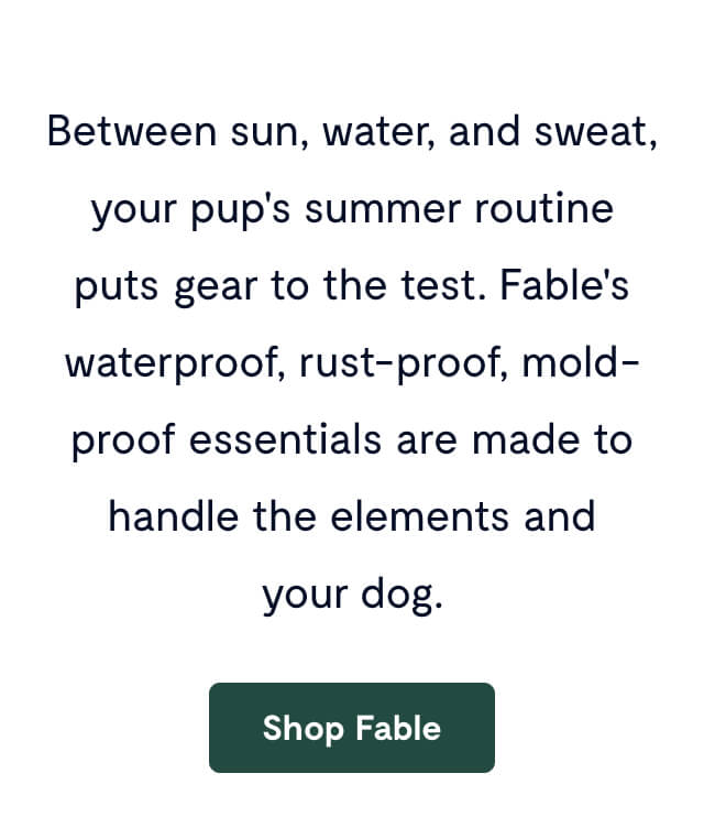 Between sun, water, and sweat, your pup's summer routine puts gear to the test. Fable's waterproof, rust-proof, mold-proof essentials are made to handle the elements and your dog.
