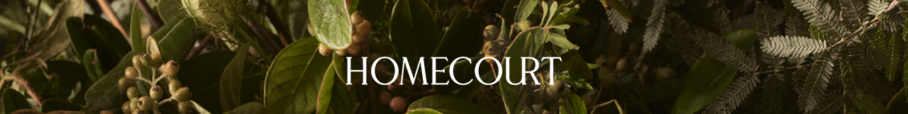 Homecourt