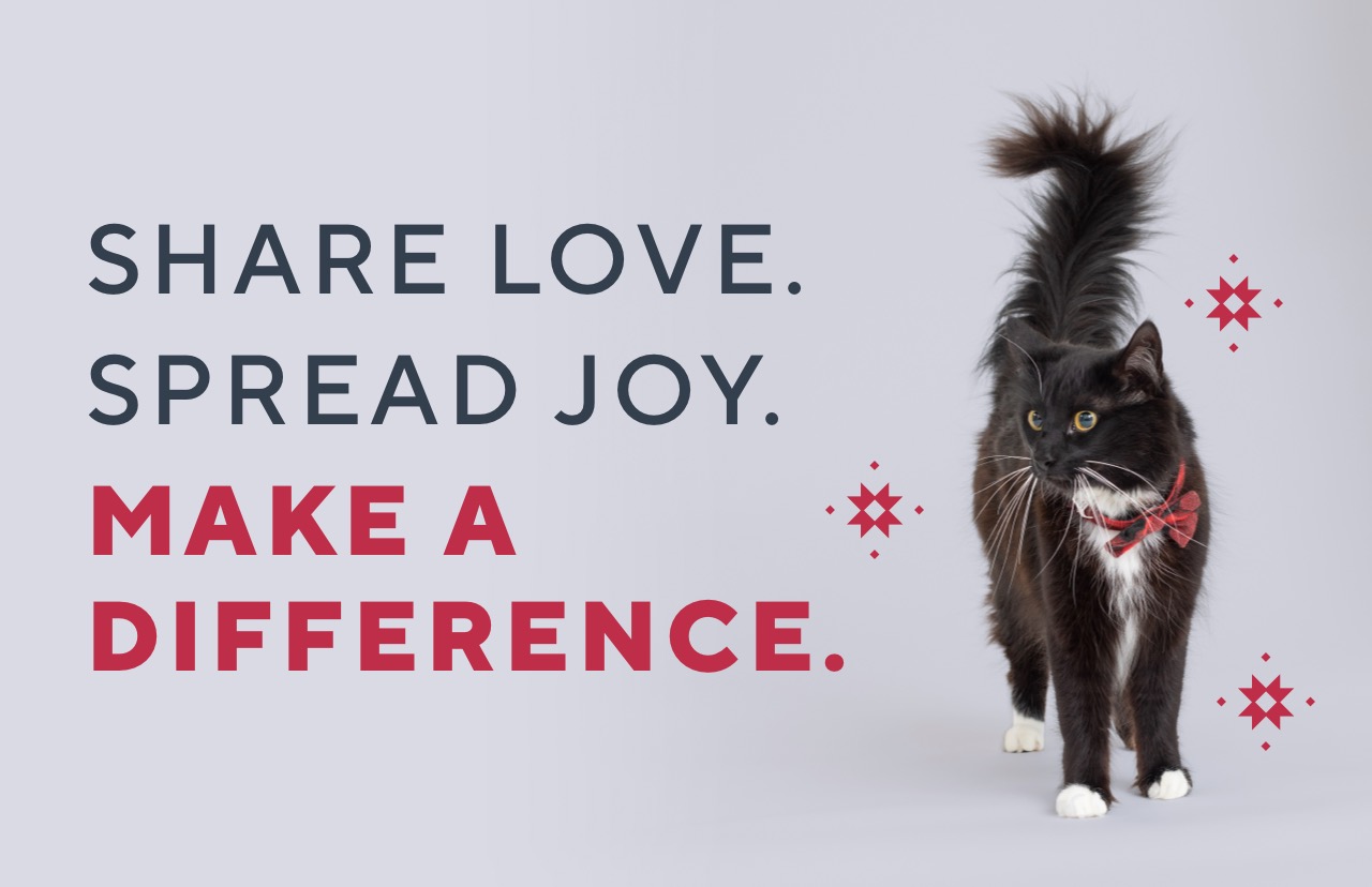 Image of a black and white cat wearing a red bow with the caption: SHARE LOVE. SPREAD JOY. MAKE A DIFFERENCE.