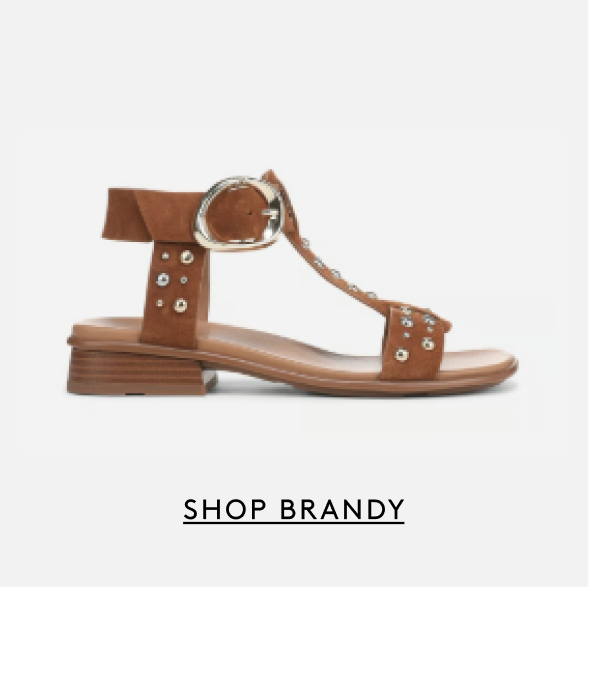 Shop Brandy