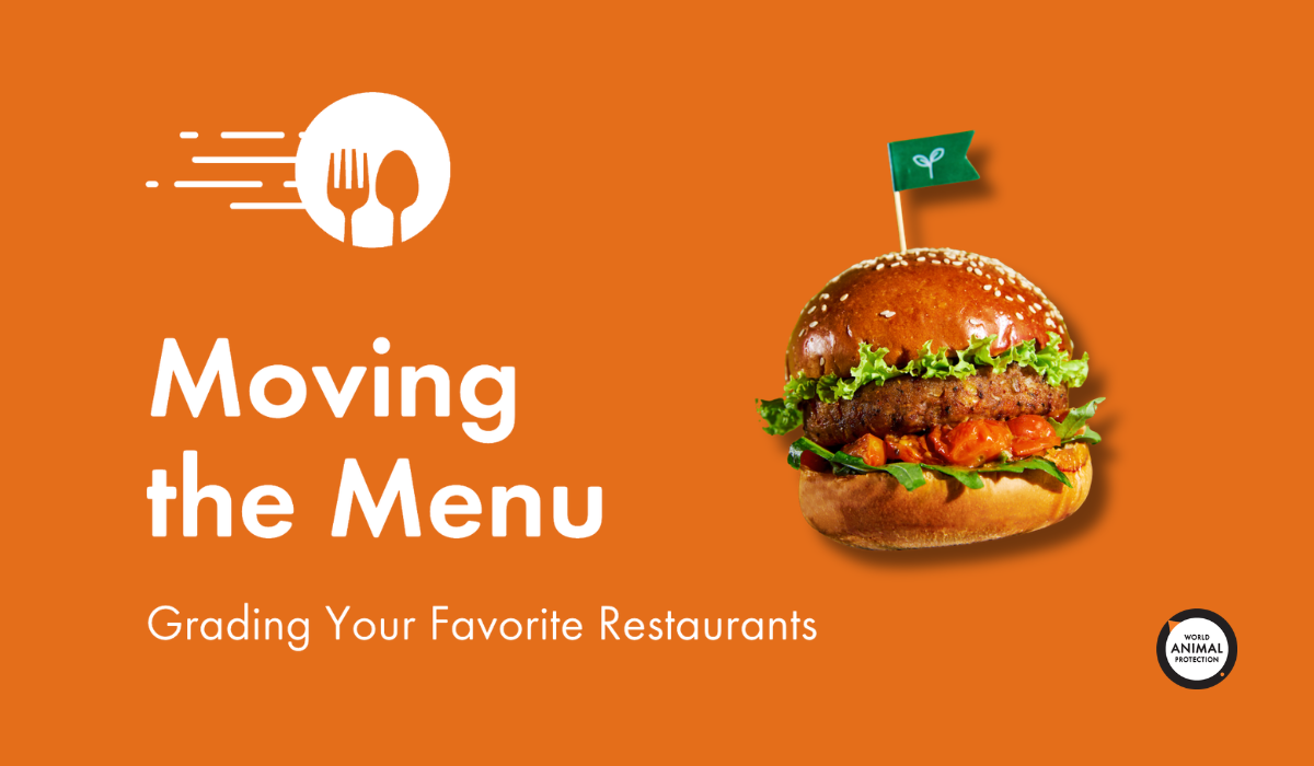A designed graphic with a photo of a plant-based burger and white text overlayed that says: 