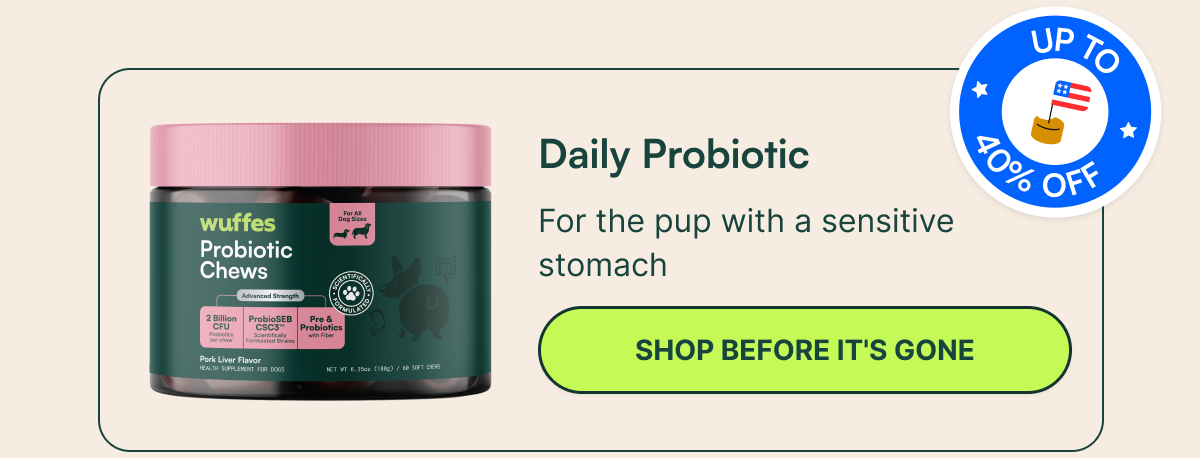 Daily Probiotic