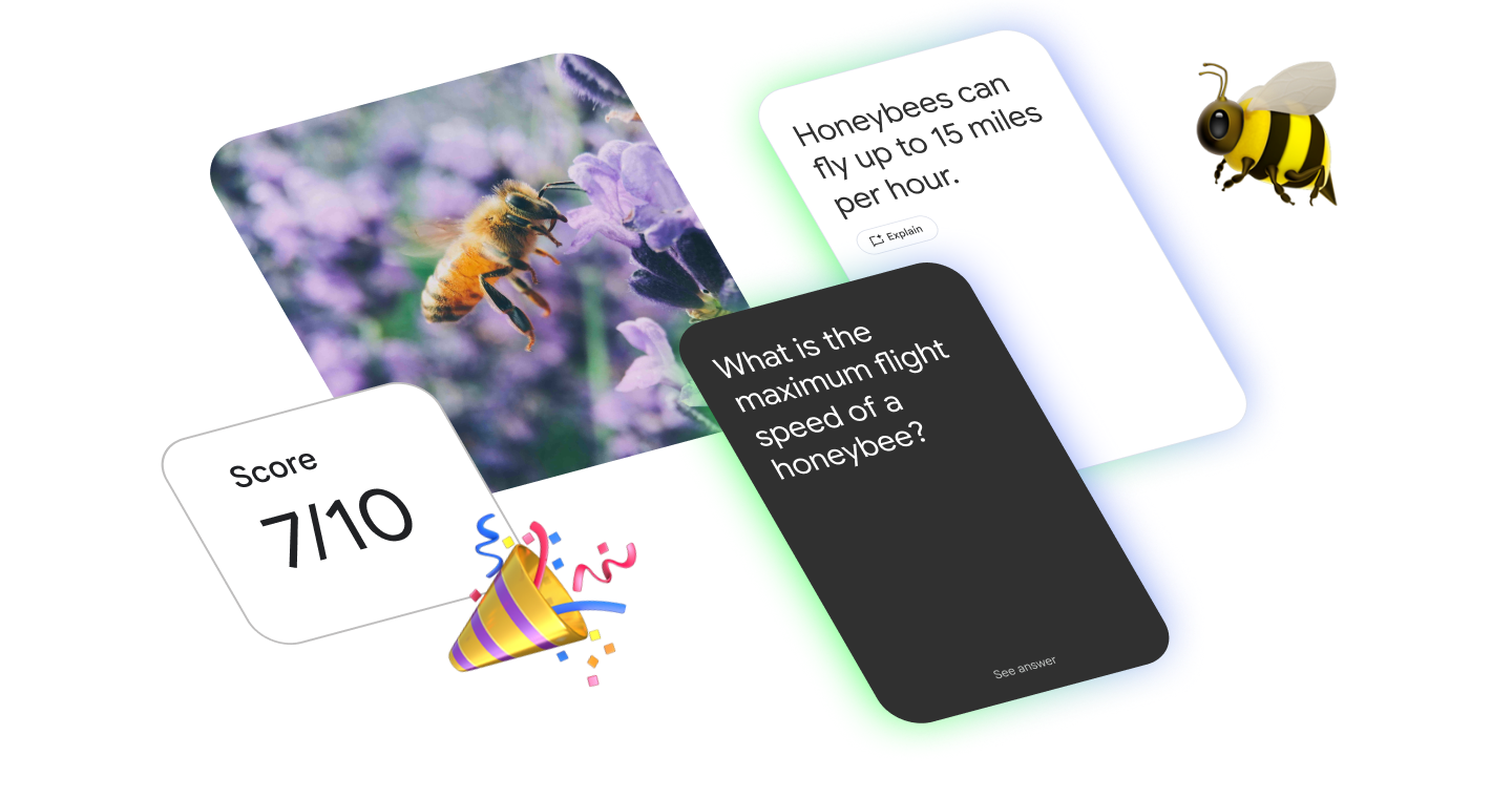 A flashcard asks the maximum flight speed of a honeybee, and the answer card shows up to 15 miles per hour.
